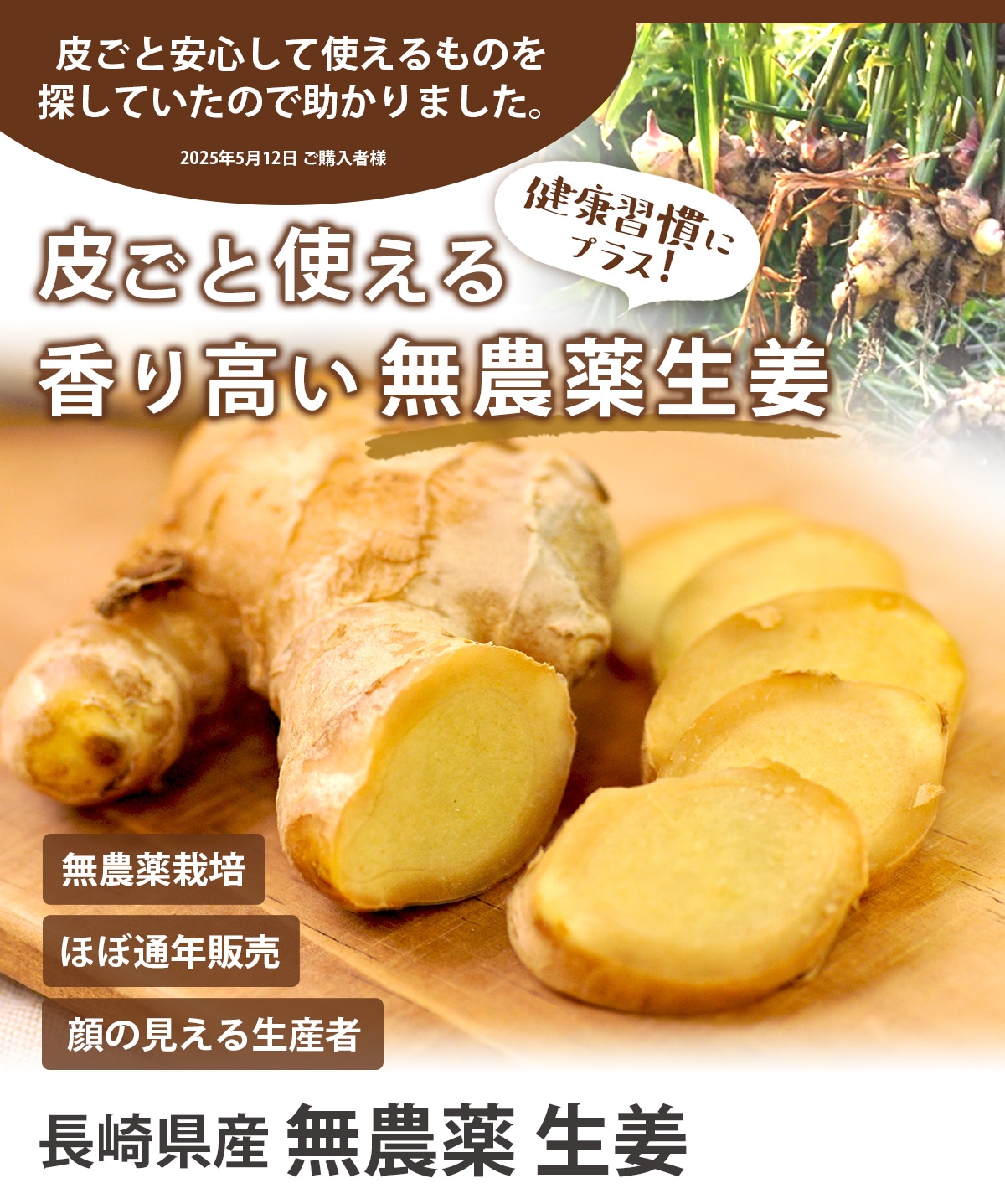 ハリネズミ 古根生姜 10kg 農薬肥料栽培期間中不使用 熊本県産 ハリネズミ様専用 古根生姜 10kg 農薬肥料栽培期間中不使用 熊本県