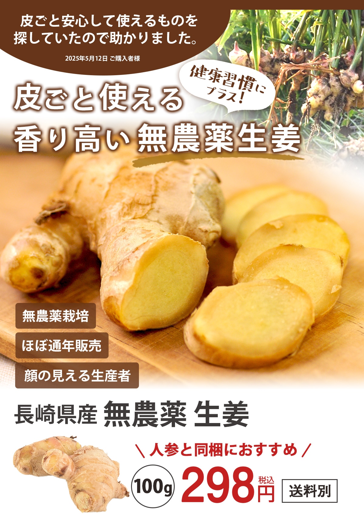 長崎県産 無農薬 生姜（古根） 100g 【ピカイチ野菜くん】