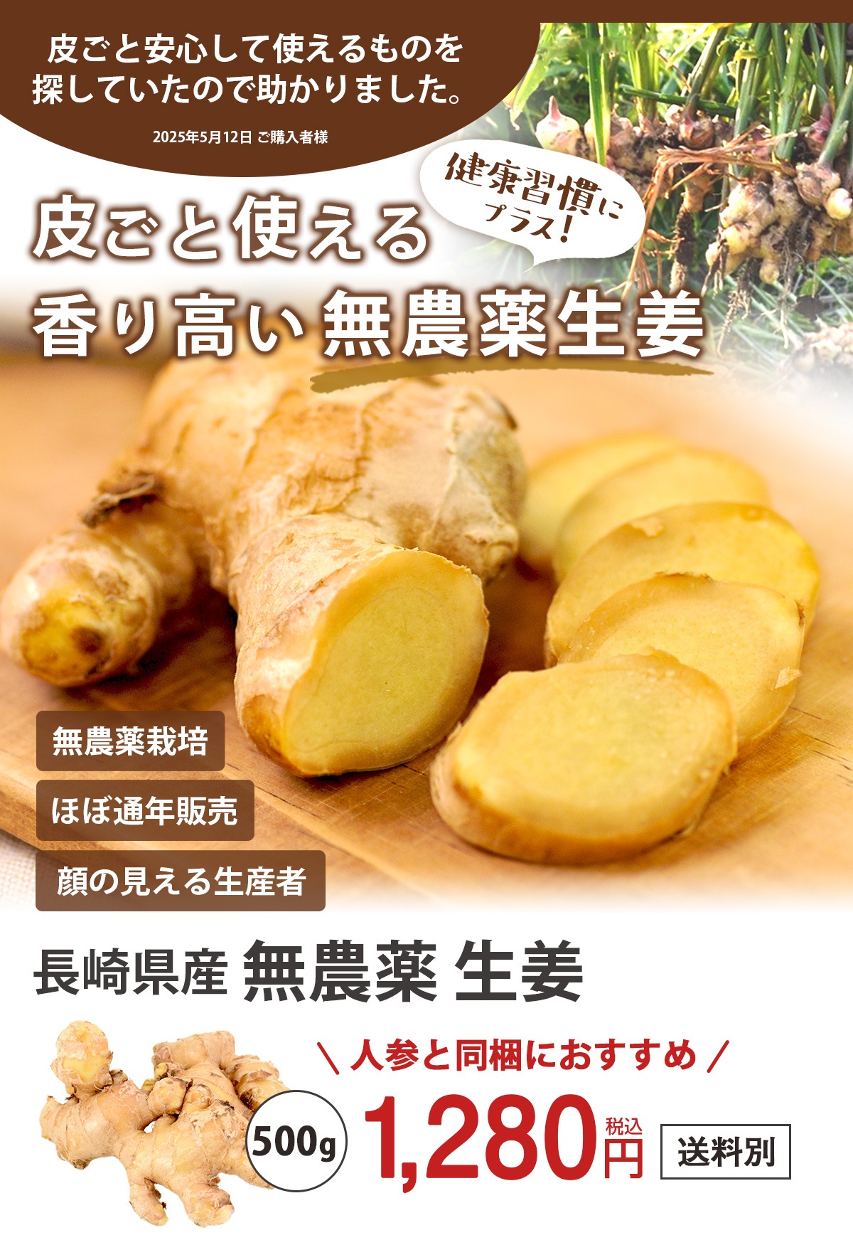 長崎県産 無農薬 生姜（古根） 500g 【ピカイチ野菜くん】