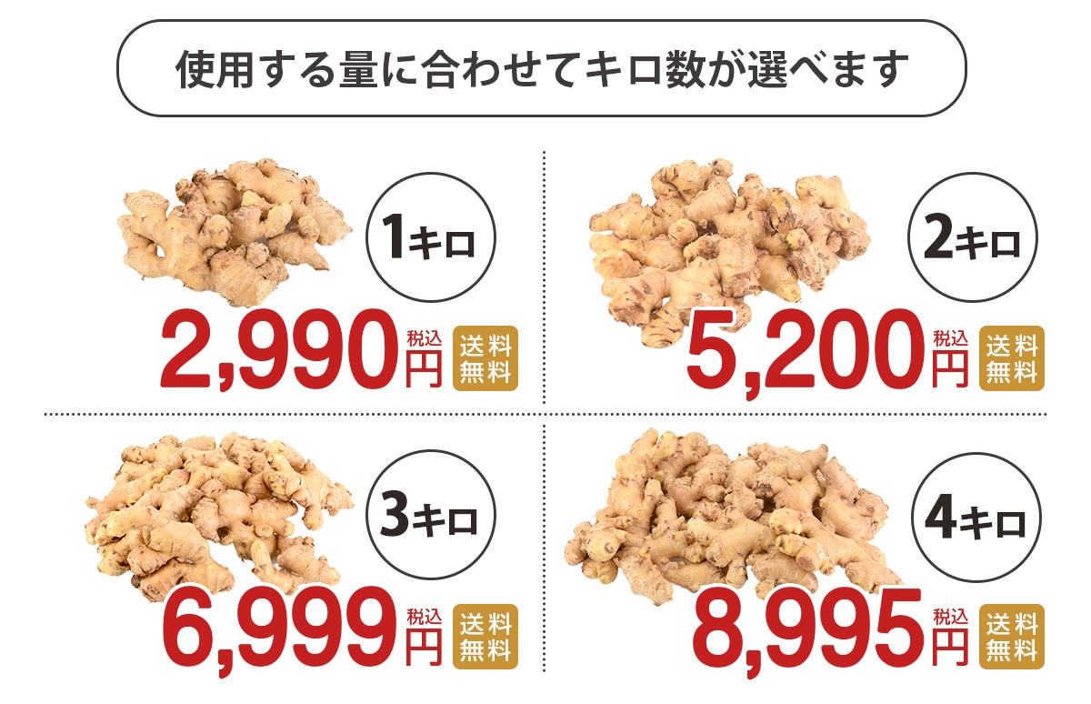 長崎県産 無農薬 生姜（古根） 1kg 2kg 3kg 4kg【ピカイチ野菜くん】