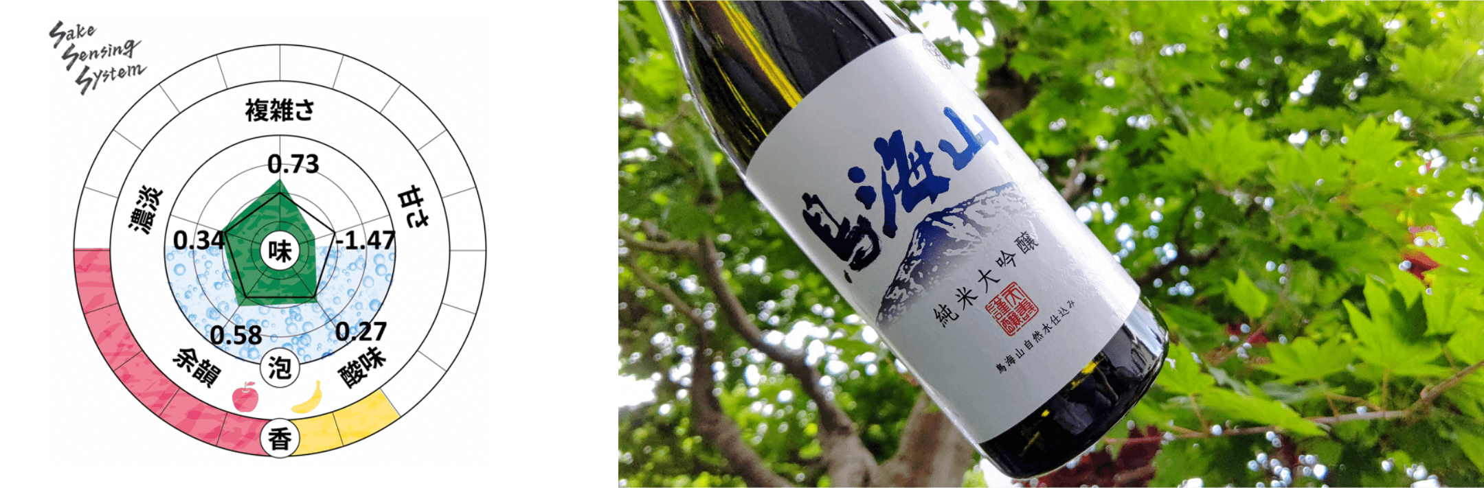 純米大吟醸 鳥海山（TDK Sake Project）分析チャートと商品写真