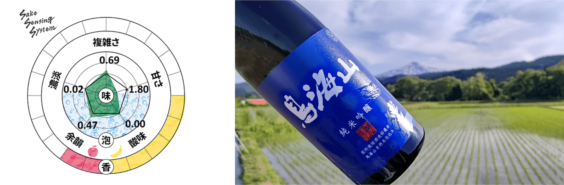 辛口大吟醸 鳥海山（TDK Sake Project）分析チャートと商品写真