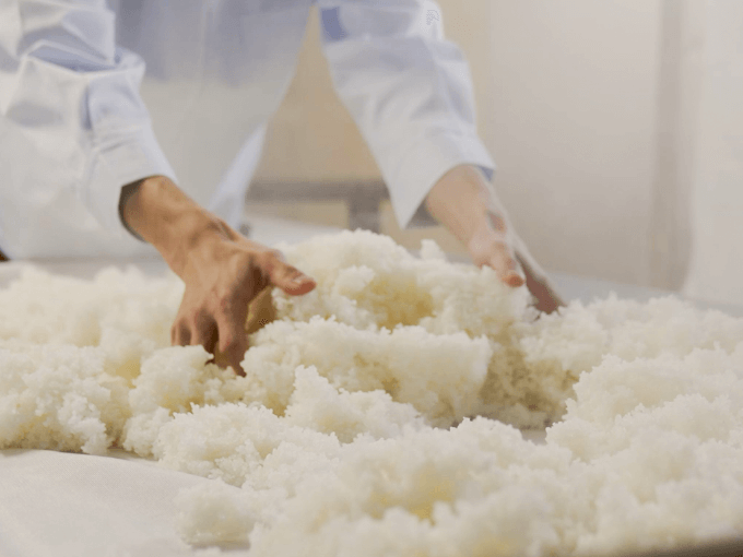 蔵人の技を間近で