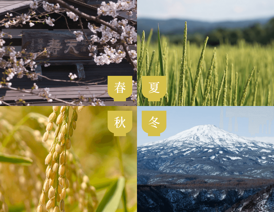 春夏秋冬の見どころ