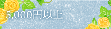 5,000円以上