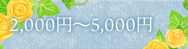 2,000~5,000円以下
