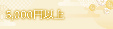 5,000円以上