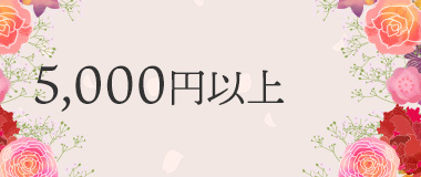 5,000円以上