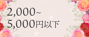 2,000~5,000円以下