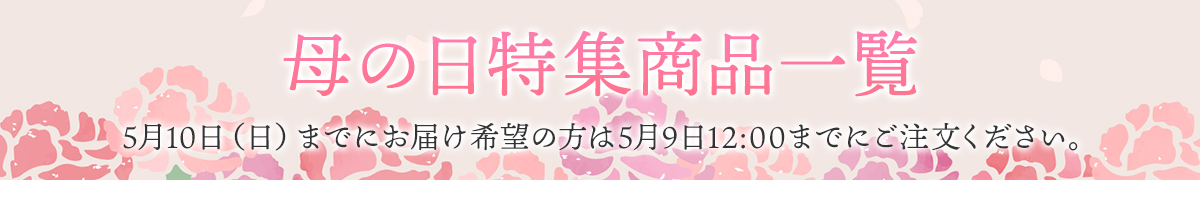 母の日特集商品一覧