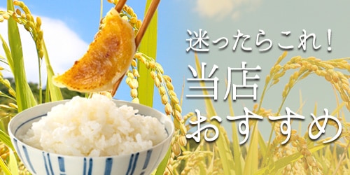 リニューアルオープン記念