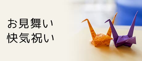 お見舞い・快気祝い