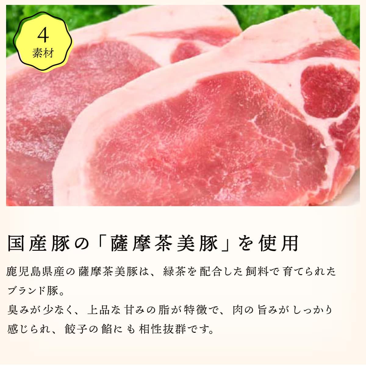 国産豚の薩摩茶美豚を使用