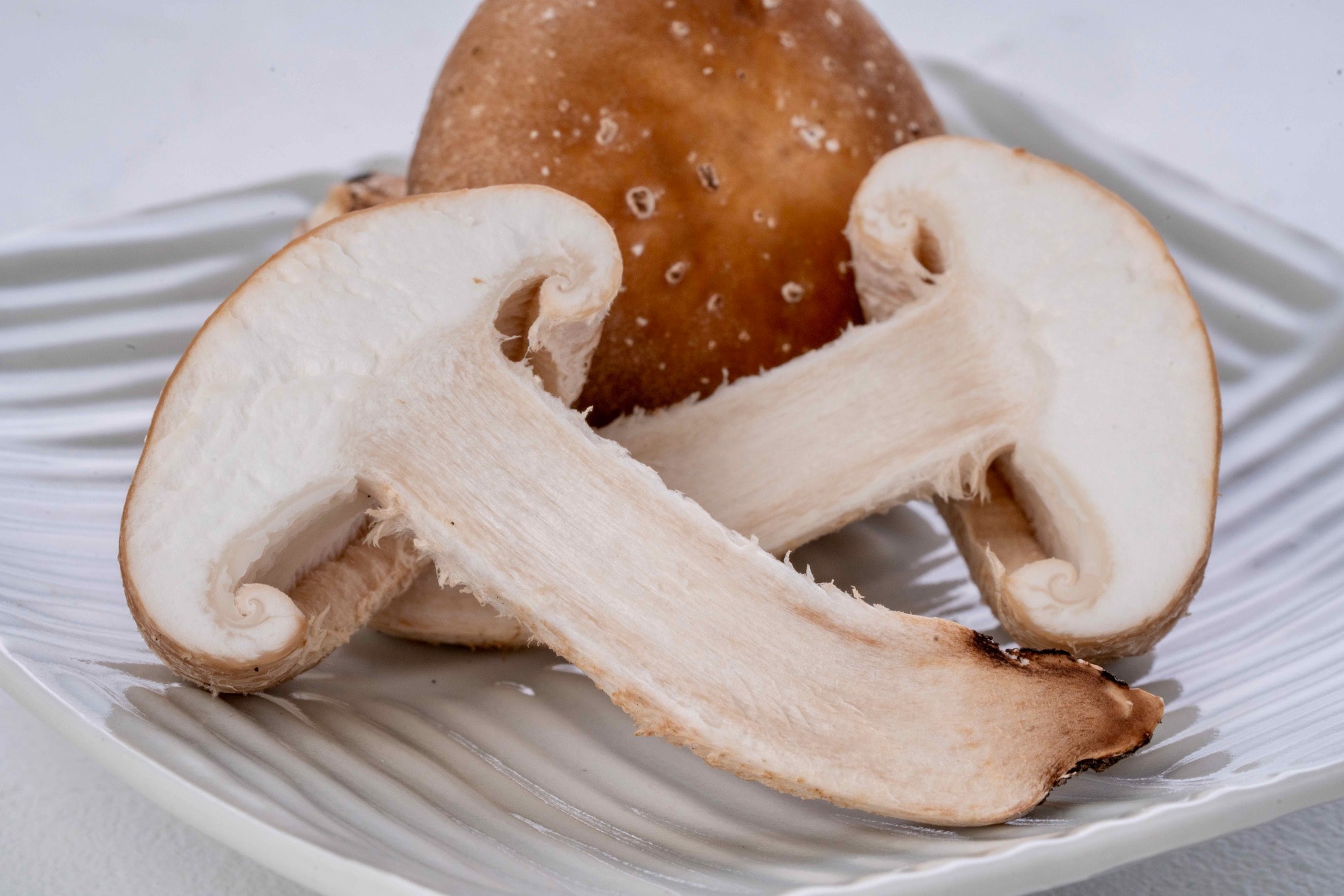 原木栽培の生椎茸を半分にカット,軸が真っ白で美味しそうな北海道産生椎茸