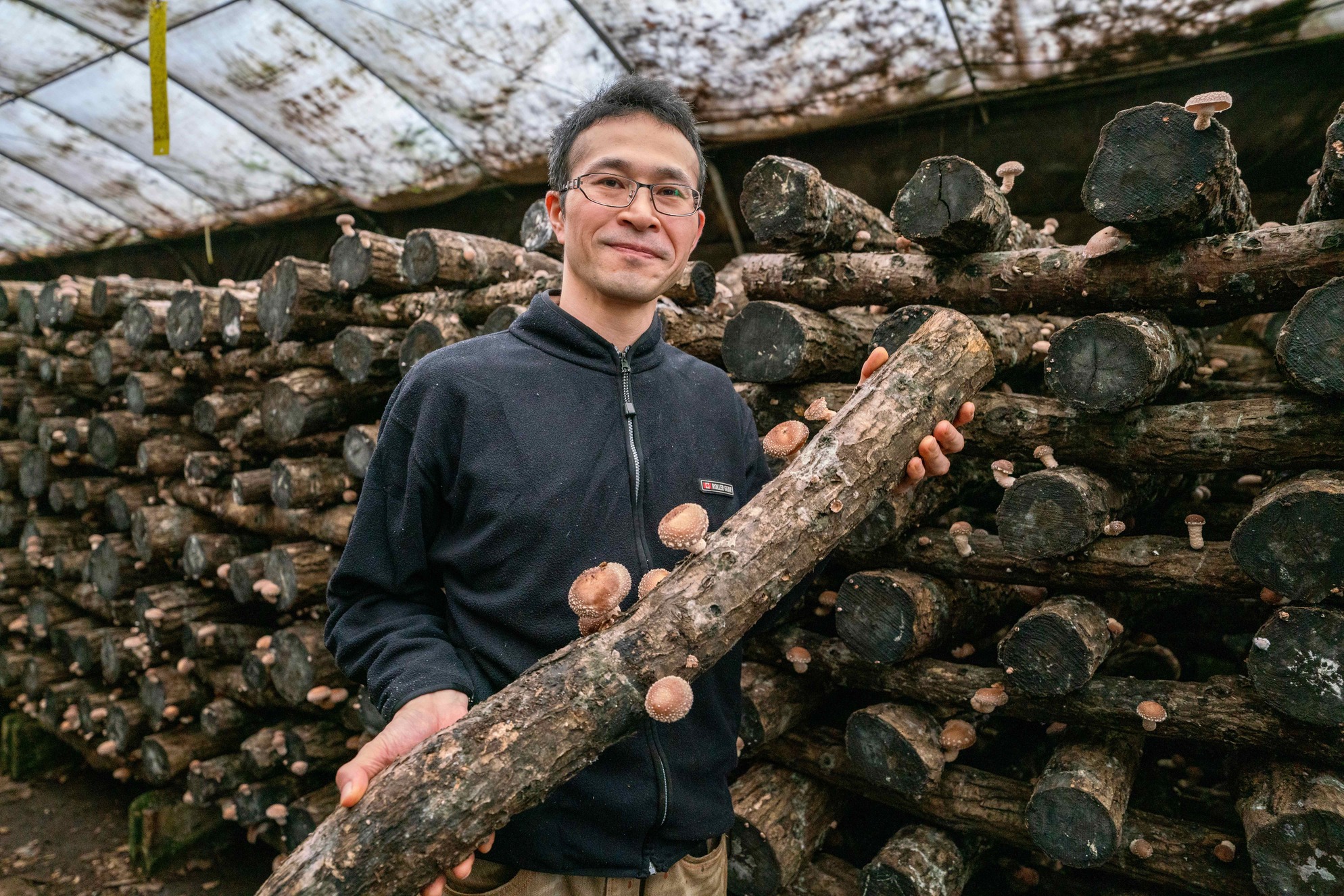 北海道むかわ町穂別にある北上しいたけ園,原木椎茸を持つ農園主の北上さん