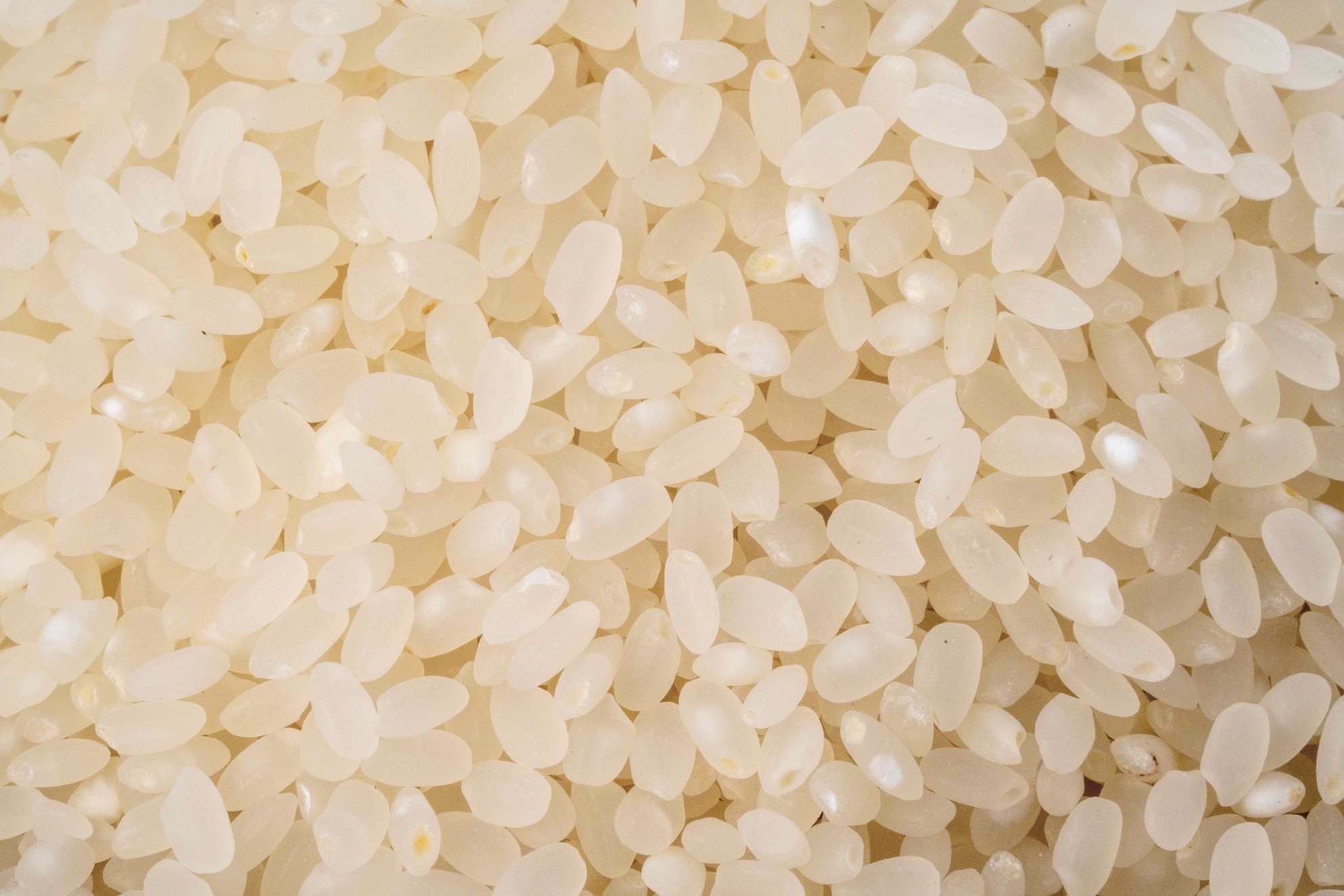 北海道産ゆめぴりかの白米,小坂農園のお米