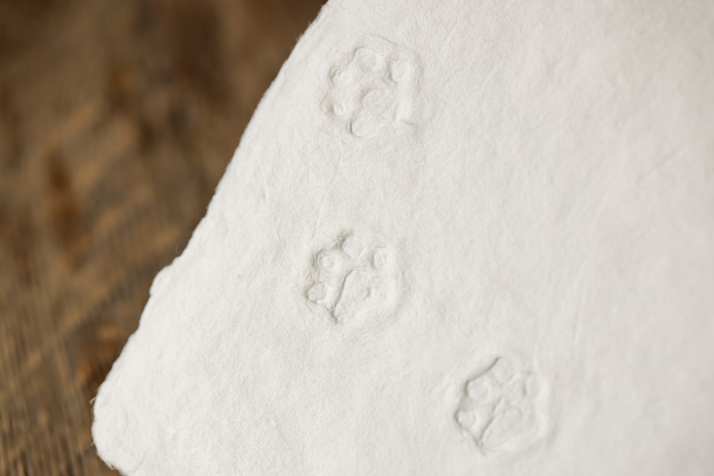 積もった雪の上の足跡を手すき和紙で表現した蝦夷和紙工房 紙びよりの「ゆきふみ（どこのこ？）」,メッセージカード