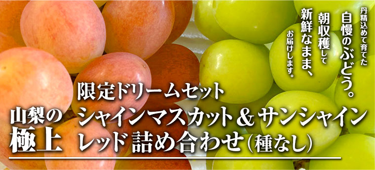 ����ɥ꡼�ॻ�åȡʥ��㥤��ޥ����å�2˼�����󥷥㥤���å�2˼�ͤ��碌��