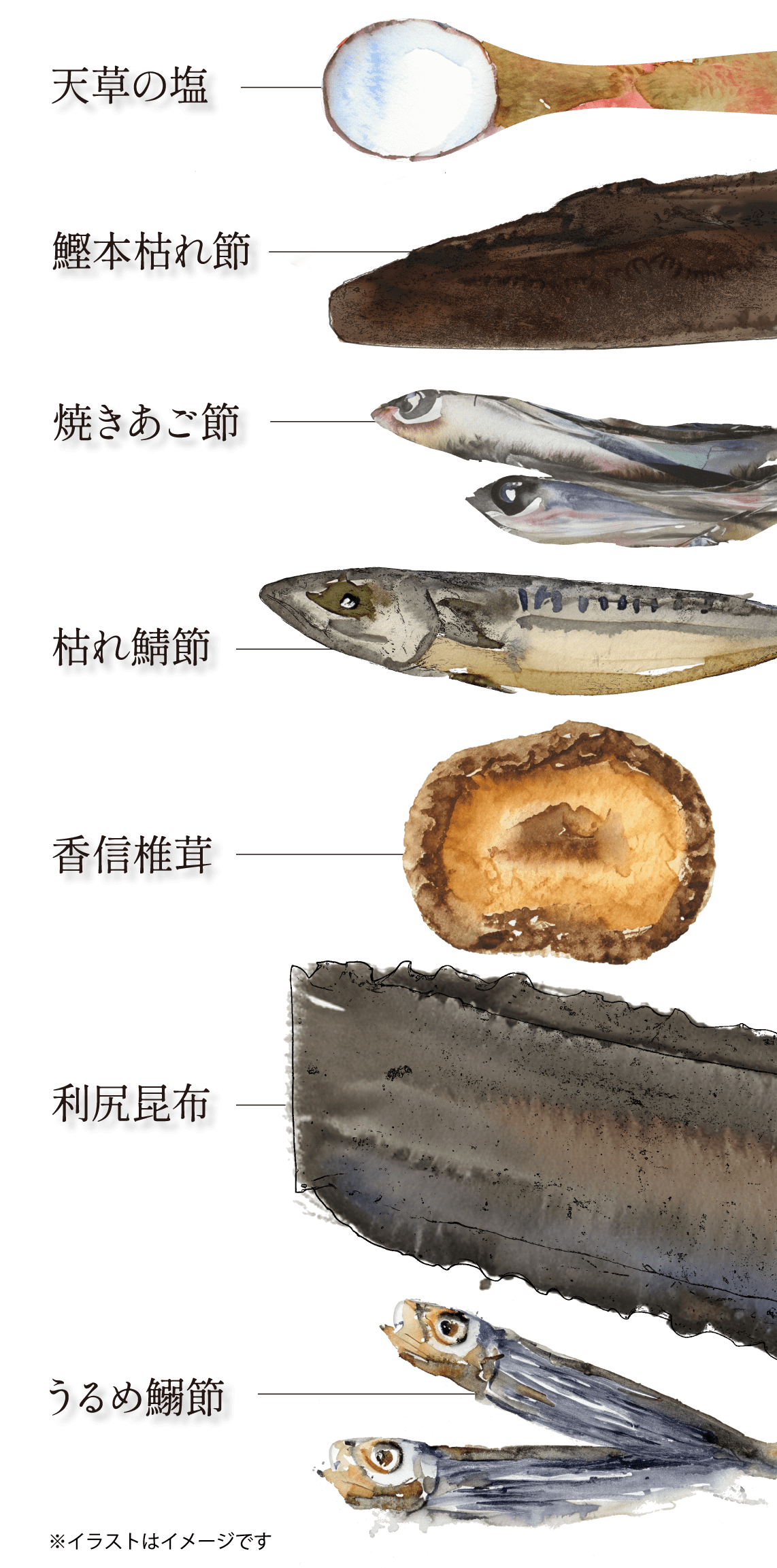 天草の塩,鰹本枯れ節,焼きあご節,枯れ鯖節,香信椎茸,利尻昆布,うるめ鰯節