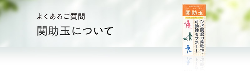 関助玉について