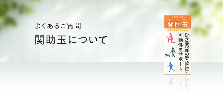 関助玉について