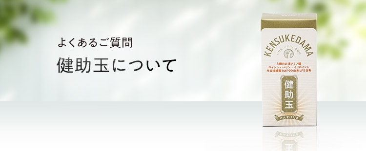 健助玉について