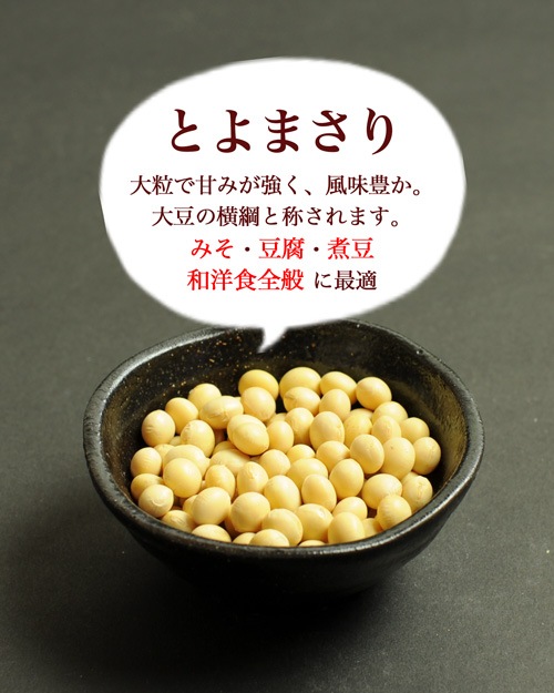 【生豆 格安】ボリビア ソル・デ・ラ・マニャーナ 10kg袋 200g】ボリビア ソル・デ・ラ・マニャーナ JAVA ナチュラル | 高谷山