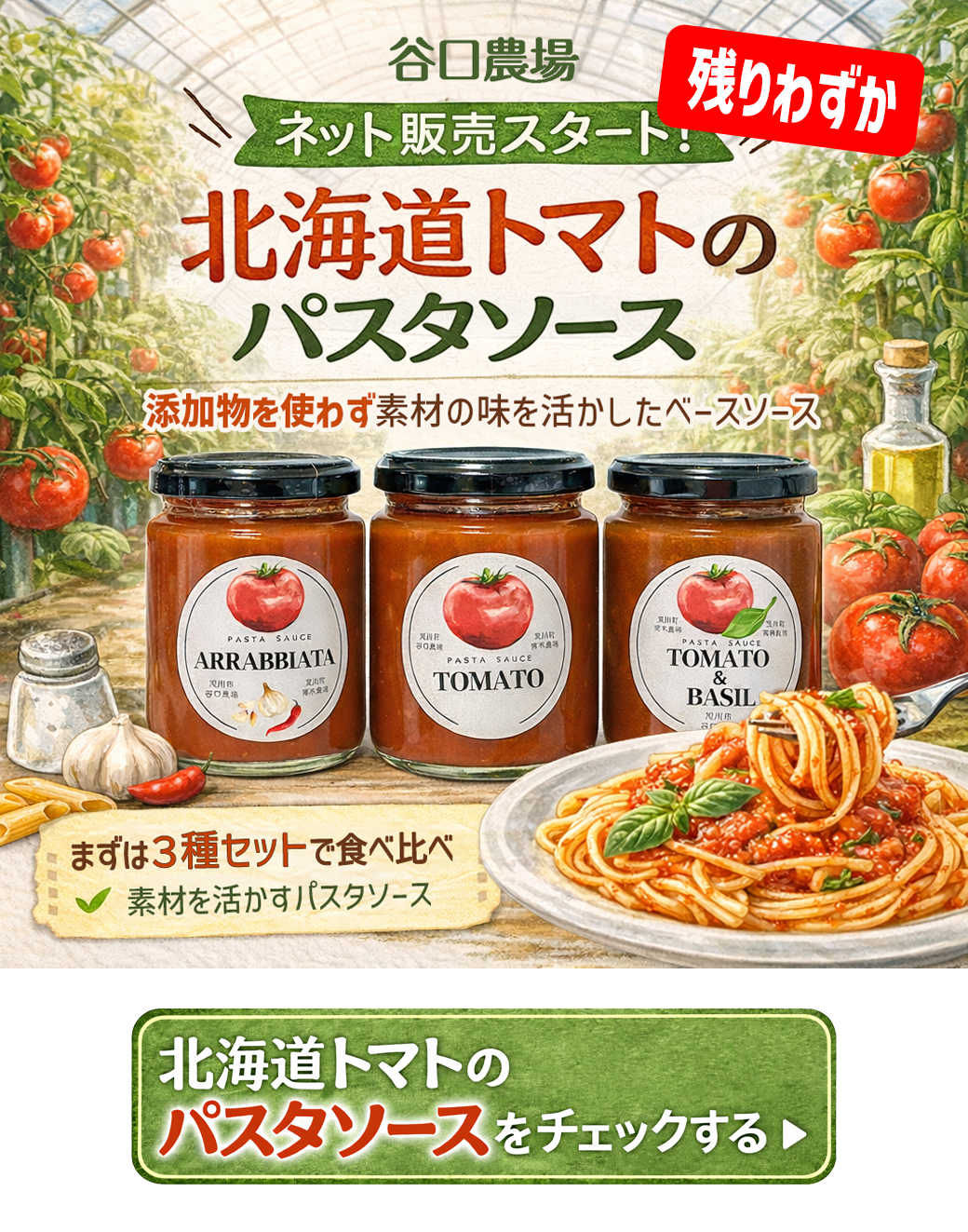 �̳�ƻ�ȥޥȤΥѥ��������� �������3�糧�å�