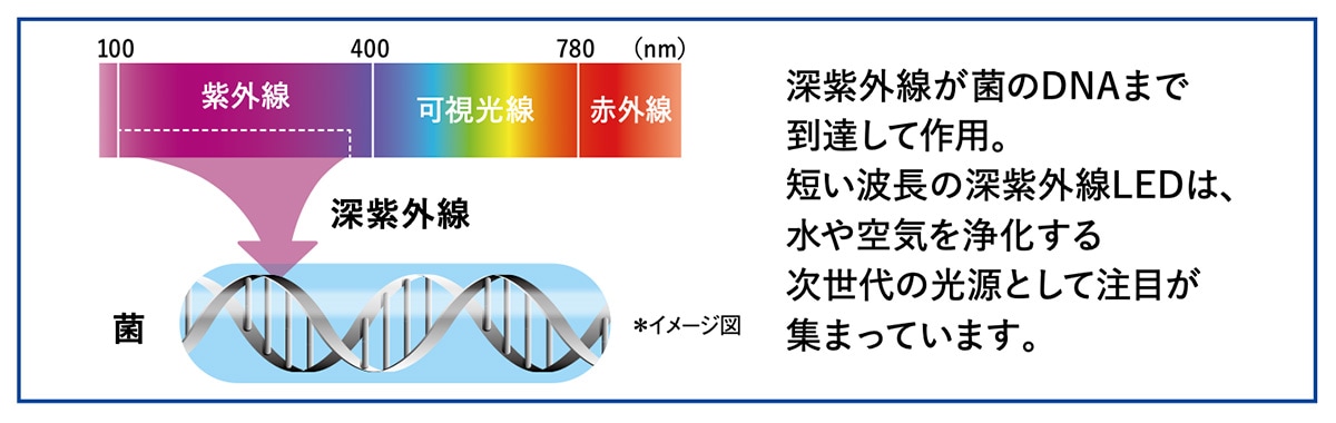 サンプルバナー