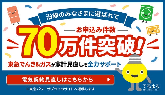 東急パワーサプライ家計見直し