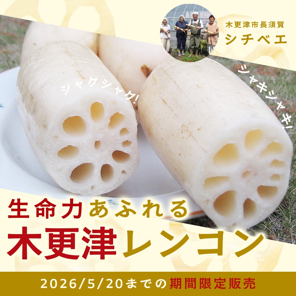 生命力あふれる木更津レンコン