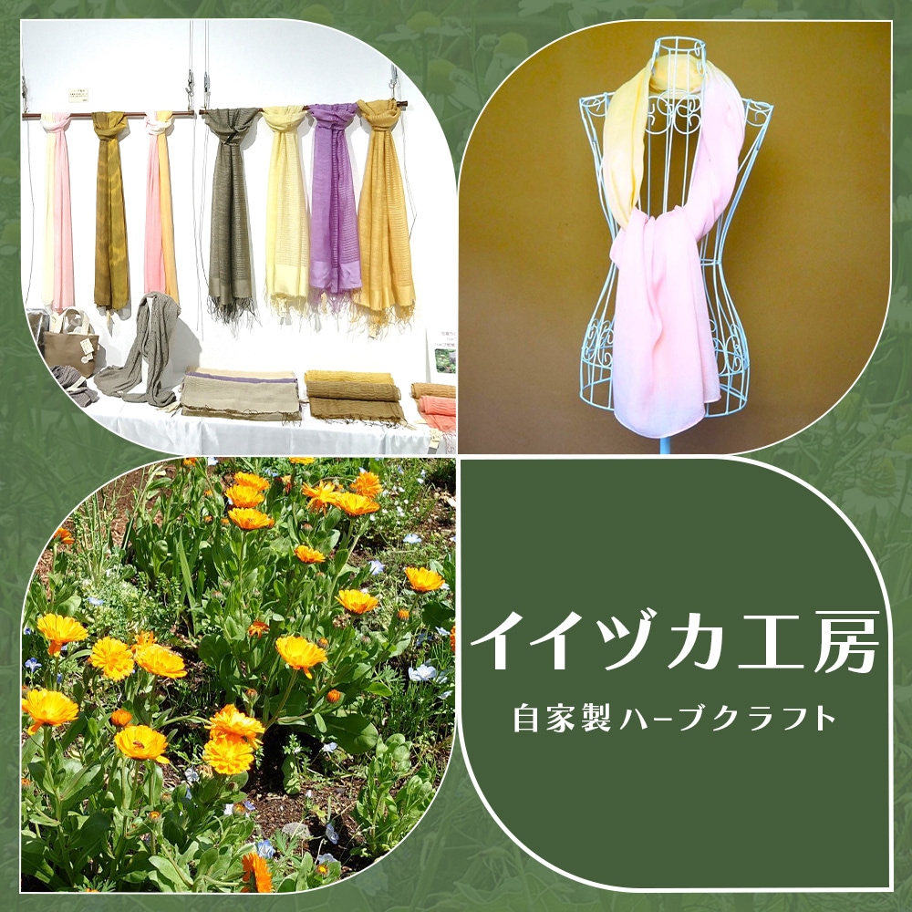 イイヅカ工房