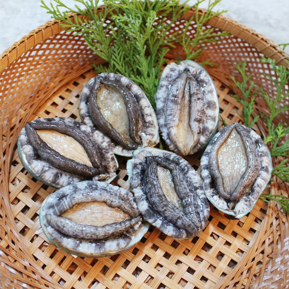 A’Culture株式会社