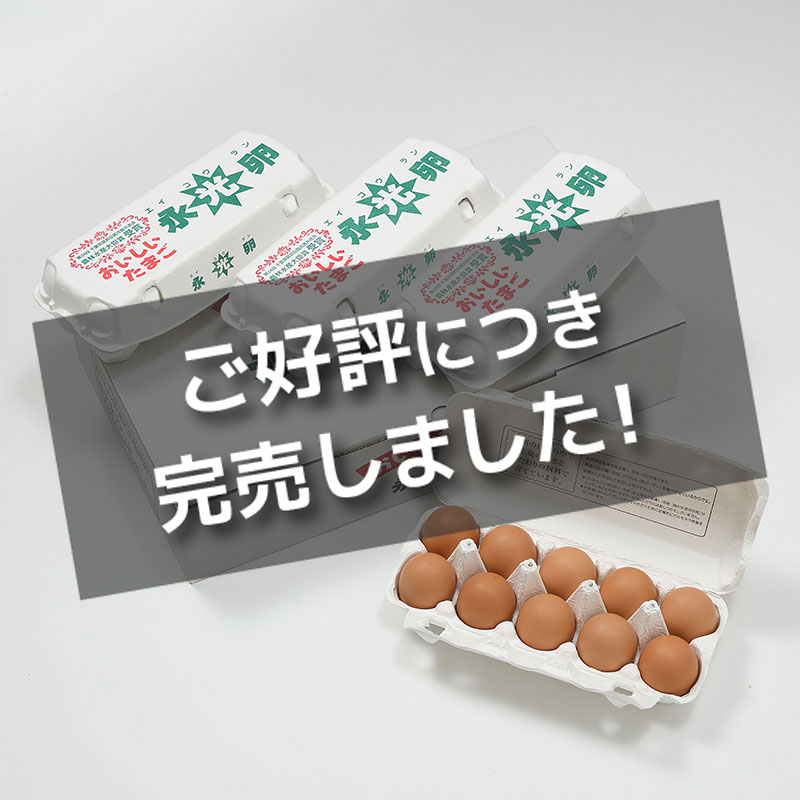 おいしいたまご永光卵　40個　(10個入り × 4パック)【11/15販売終了】