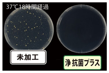 バイオプランタ　♪　中和剤付き　15グラム（3回分） 2B バイオプランタ バイオプランツ 3袋 【公式通販】