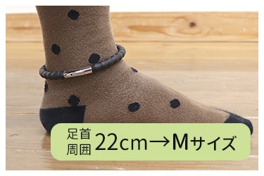 ­�����22cm��M�����������Ӥޤ���