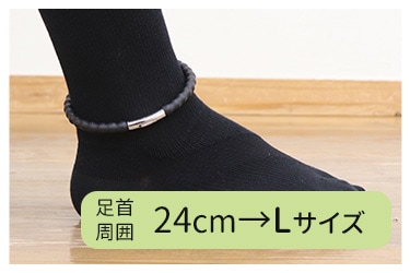 ­�����24cm��L�����������Ӥޤ���