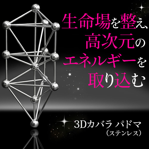 丸山修寛 模型 3Dカバラ パドマ ステンレス　立体カバラ 生命の樹 クスリ絵