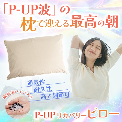 ボディフィーリング P-UP波/テラヘルツ】P-UP ボディフィーリング 入浴剤 | 業務用