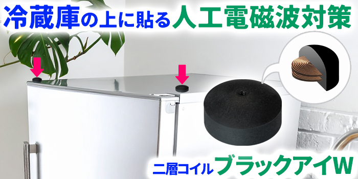 ÆóÁØ¥³¥¤¥ë ¥Ö¥é¥Ã¥¯¥¢¥¤W