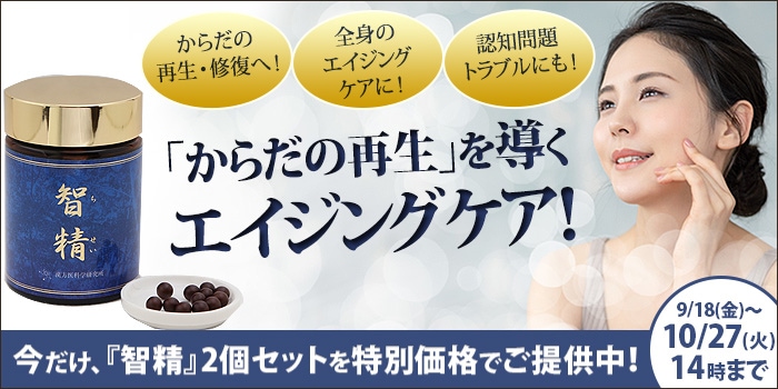 智精2個セット