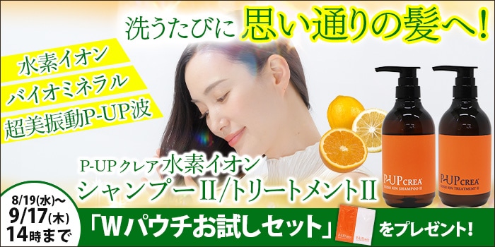 P-UP���쥢���ǥ����󥷥��ס����ȥ꡼�ȥ��ȴ��