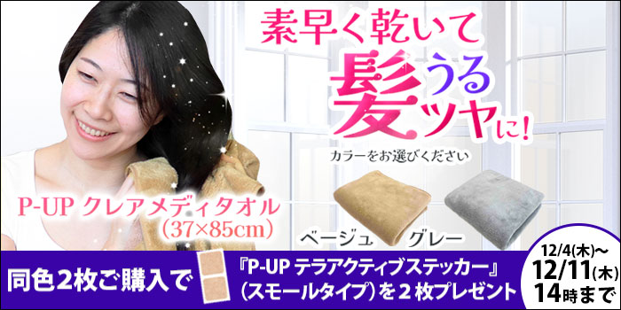 PUP��ǥ���������