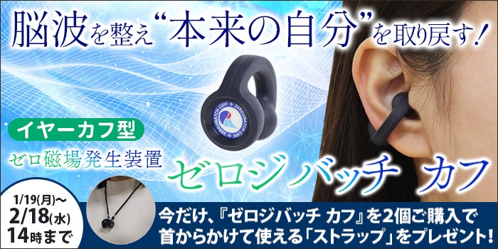 �������Хå����մ��