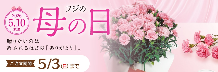スライド画像 母の日ギフト2026