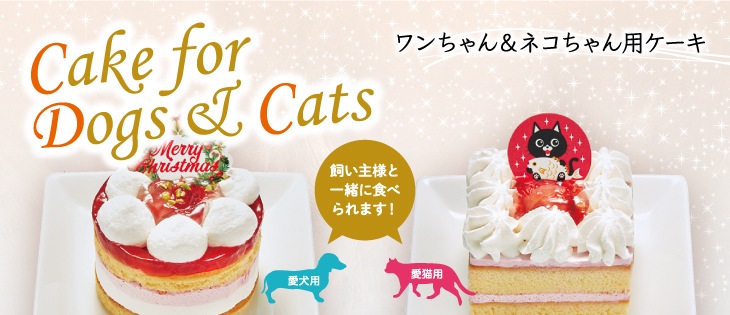 イメージ画像　Cake for Dogs & cats ワンちゃん＆ネコちゃん用ケーキ