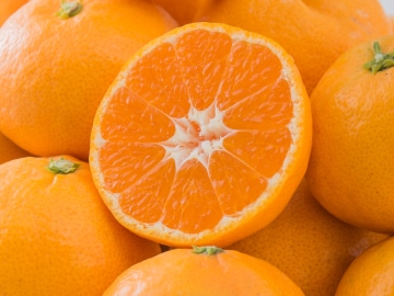 画像　柑橘類