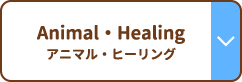 Animal・Healing アニマル・ヒーリング