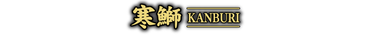 寒鰤 KANBURI