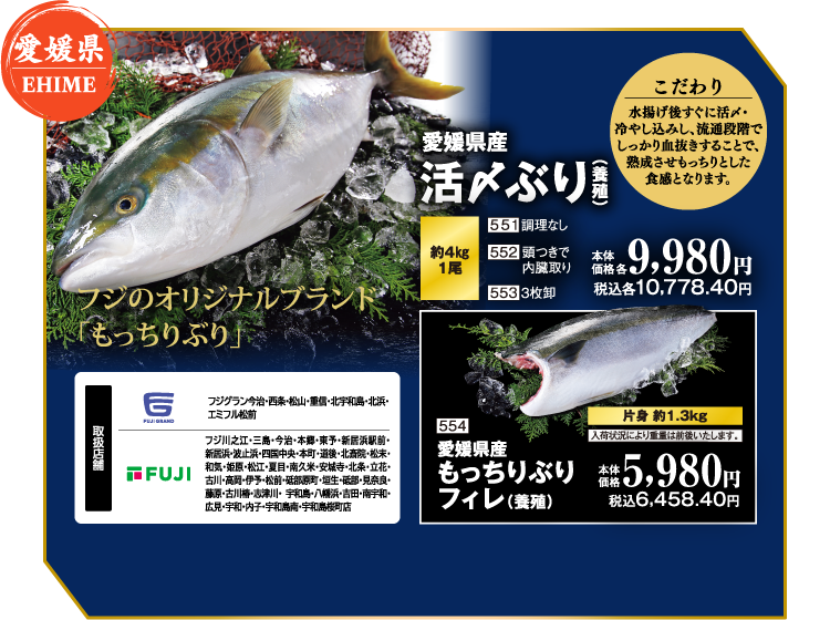 【愛媛県 EHIME】愛媛県産 活〆ぶり（養殖）